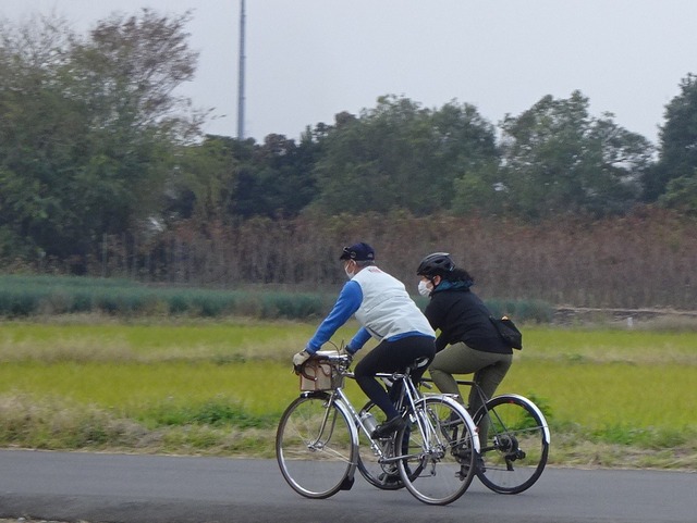 DSC03060