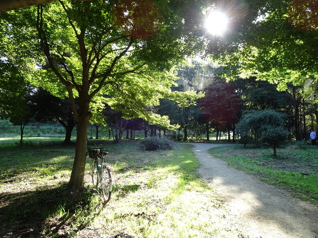 DSC04585