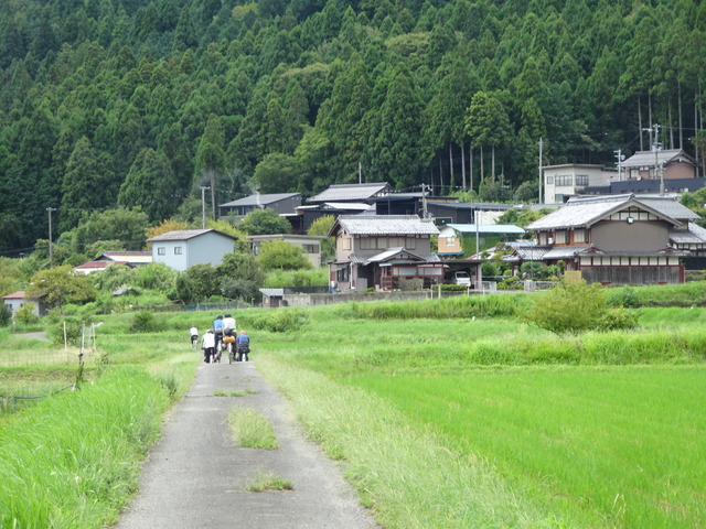 DSC08218