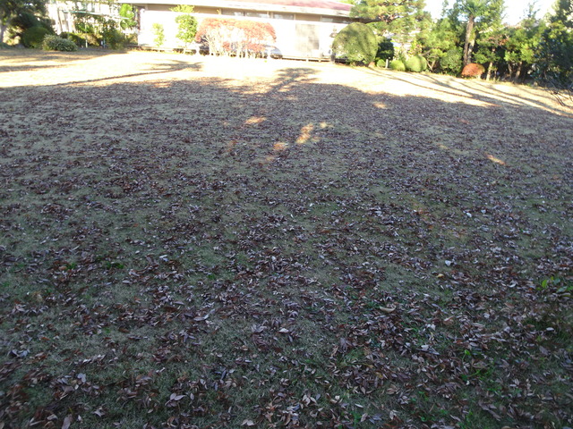 DSC03140