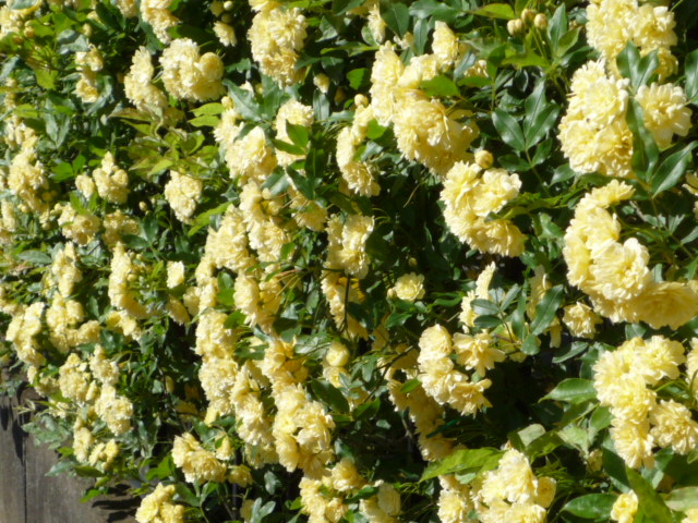 53de516f.jpg