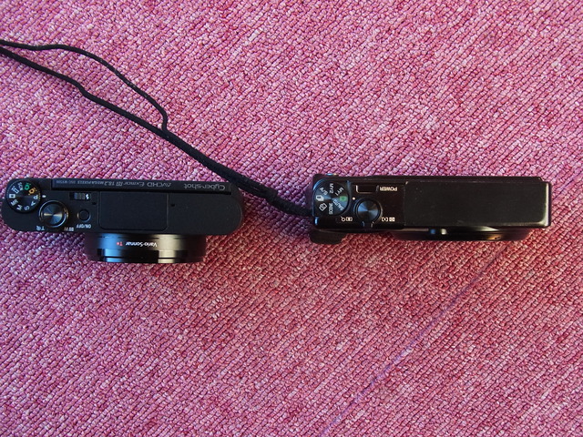 RIMG0495