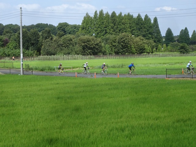 DSC00861