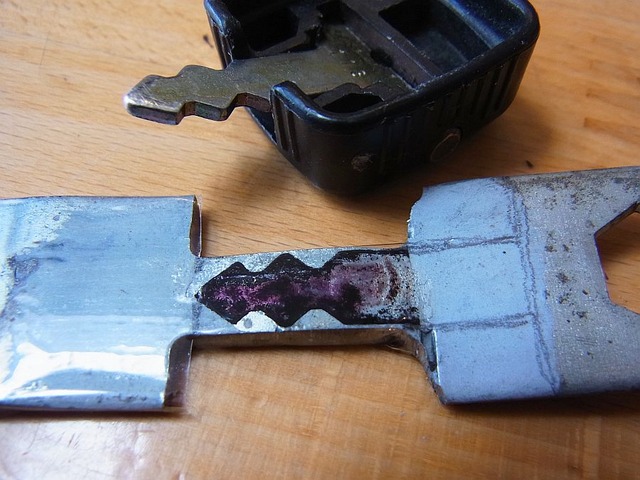 RIMG0295