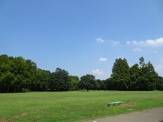 DSC07991