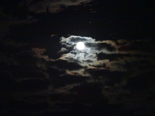 DSC04669