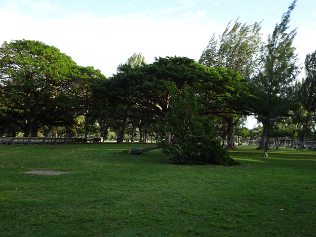 DSC00441