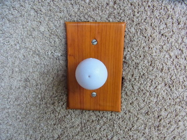 RIMG1381