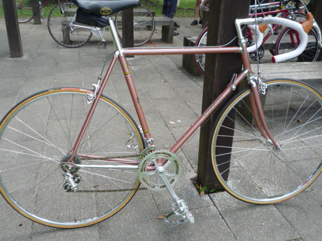 637e758d.jpg