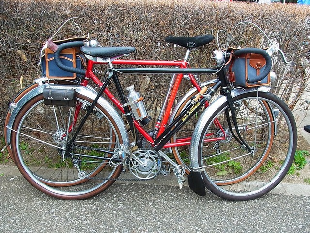 RIMG1849
