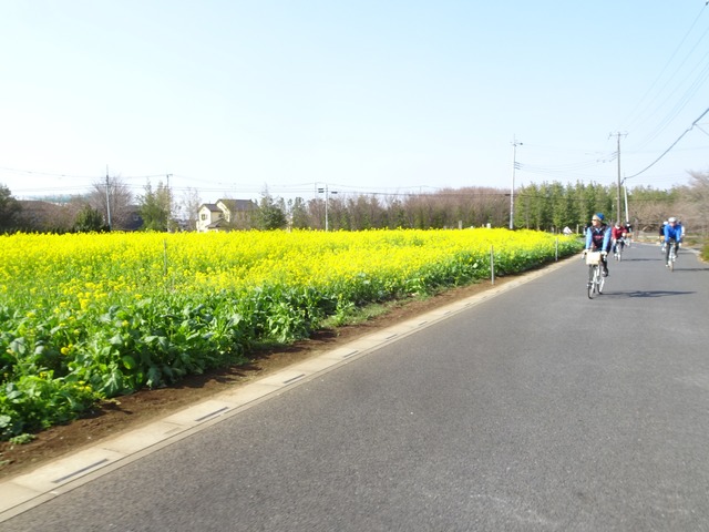 DSC00042