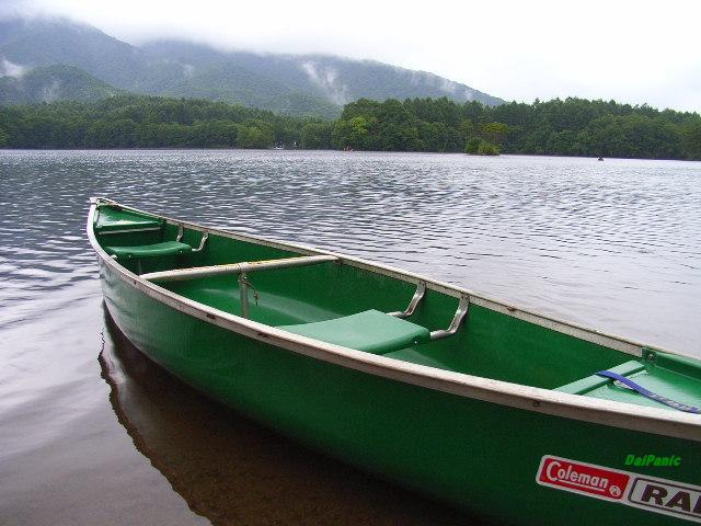 65947dbb.jpg