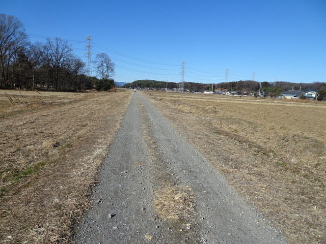 DSC00714