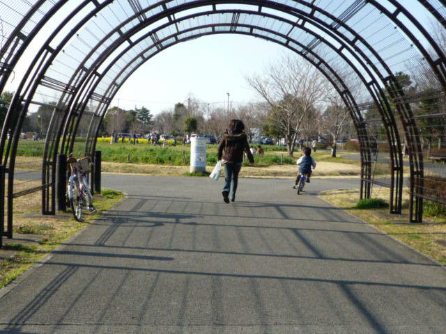 6c255091.jpg