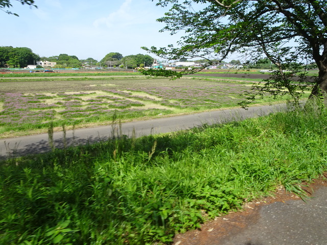DSC00368