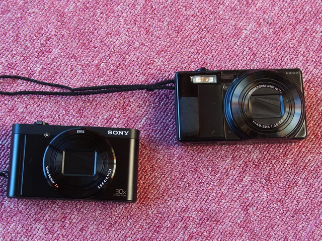 RIMG0493