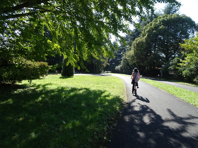 DSC02756