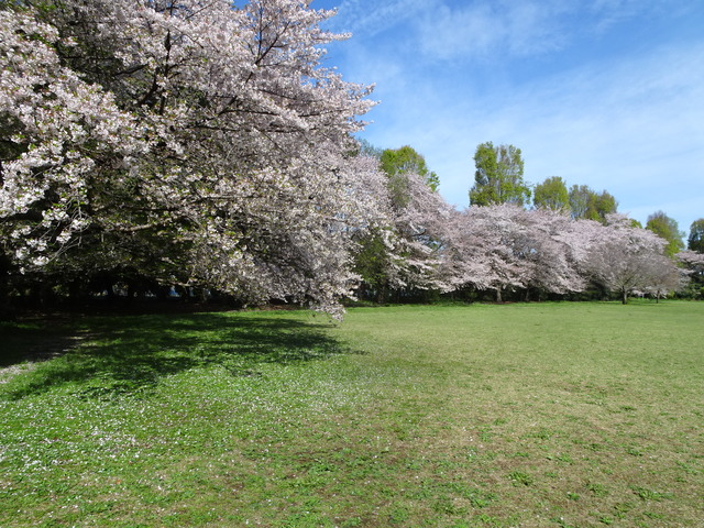 DSC00215