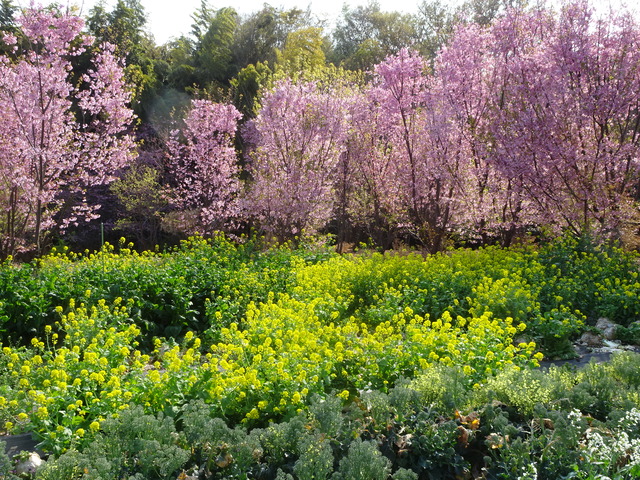 DSC00166