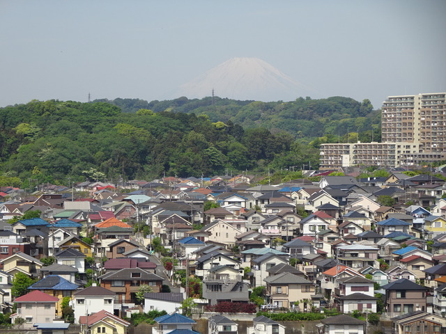 DSC04875