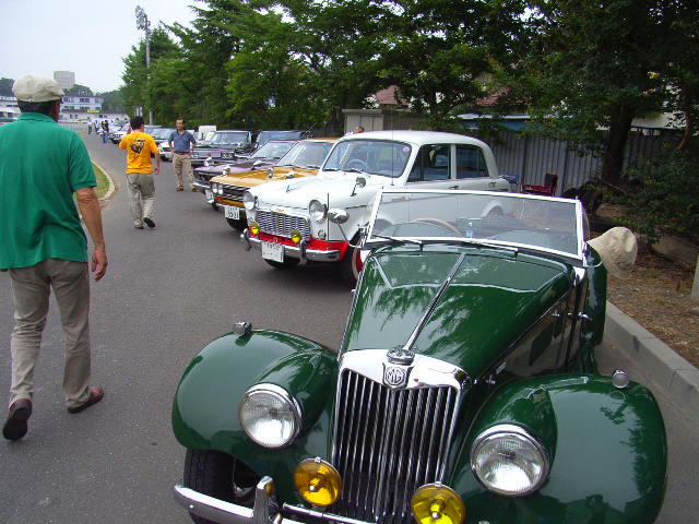 70868169.jpg