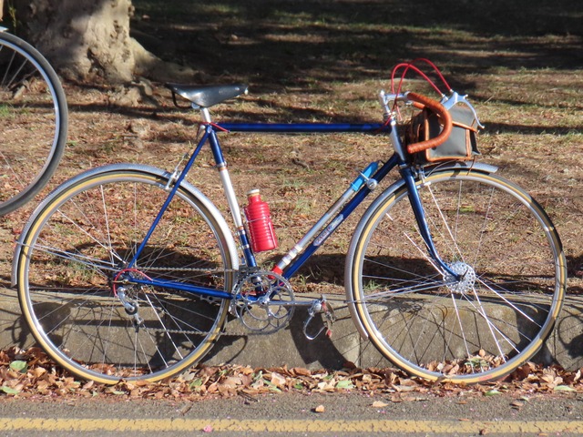 20250223SLTM渡部 (8)★