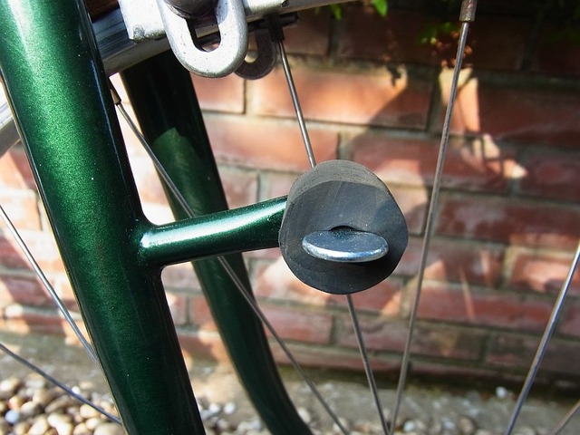 RIMG0322