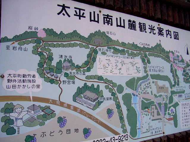 7138e825.jpg