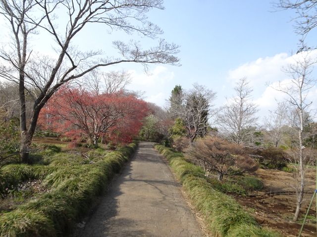 DSC00171