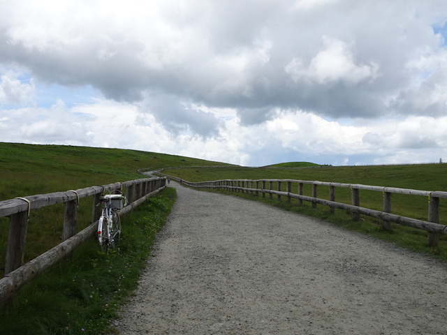 DSC03319