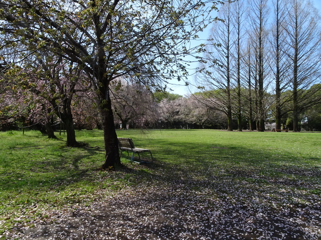 DSC00214