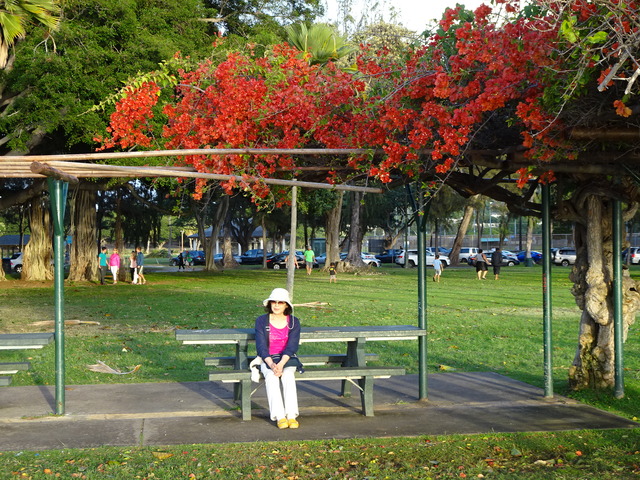 DSC00480
