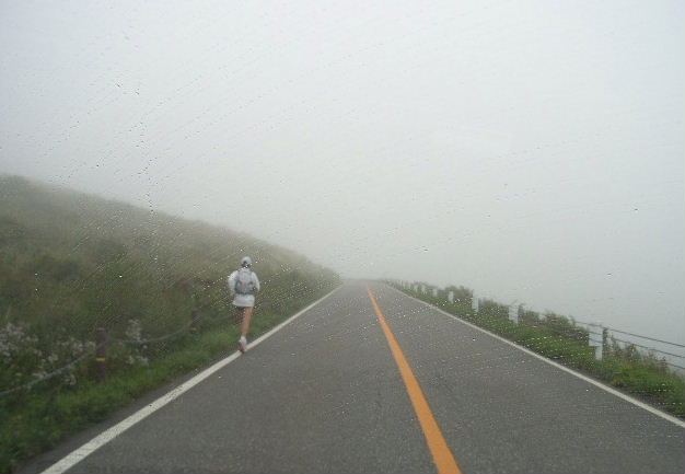 788218cd.jpg