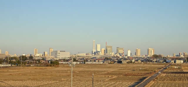 DSC04981