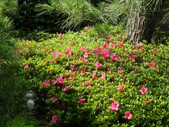 DSC05506