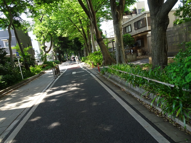 DSC02404