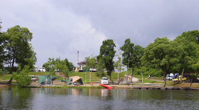 7d855209.jpg