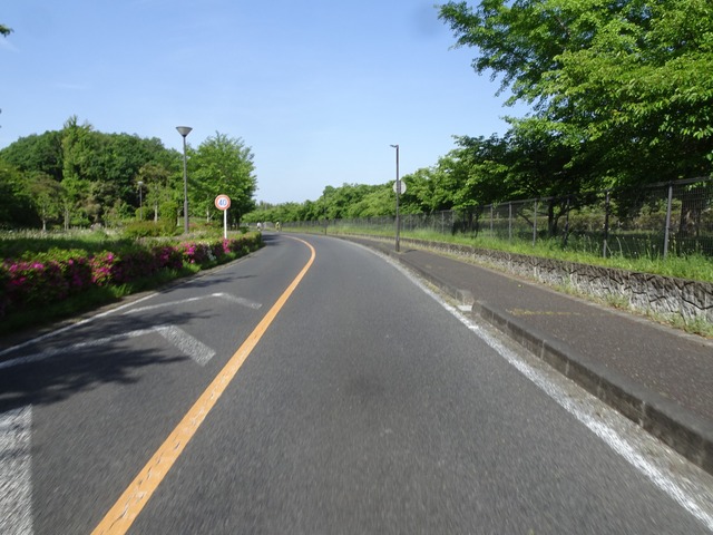 DSC00356