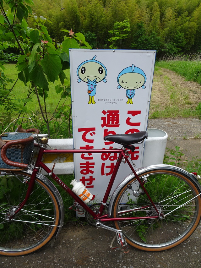 DSC02339