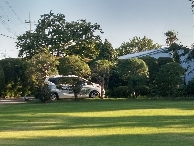 KIMG1650