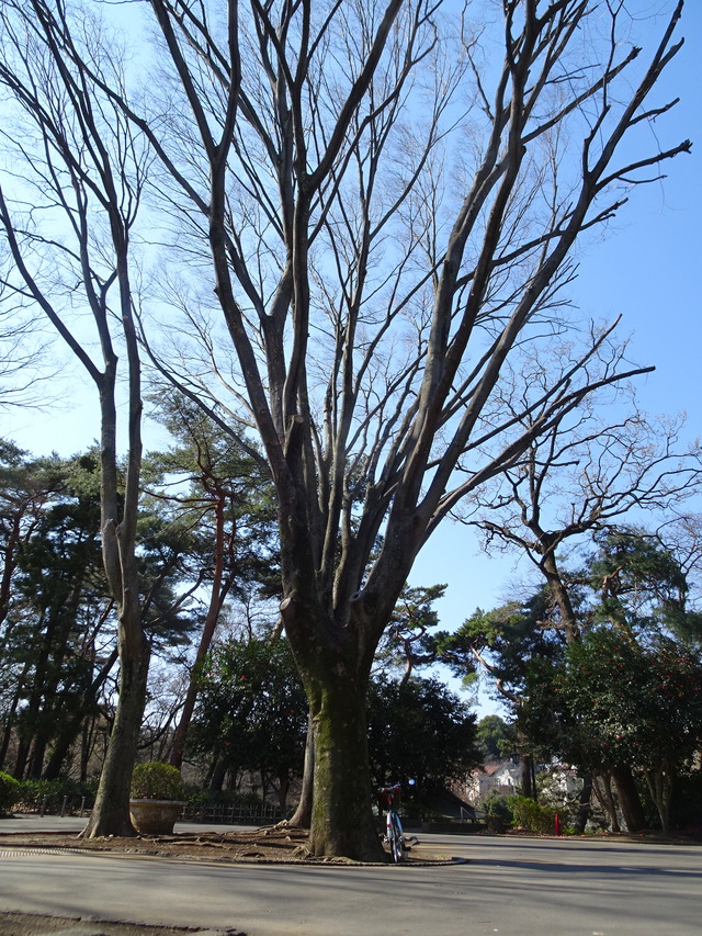 DSC01421