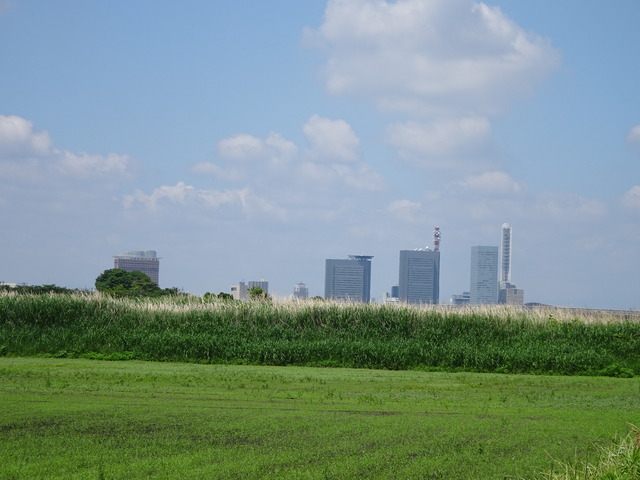 DSC02625