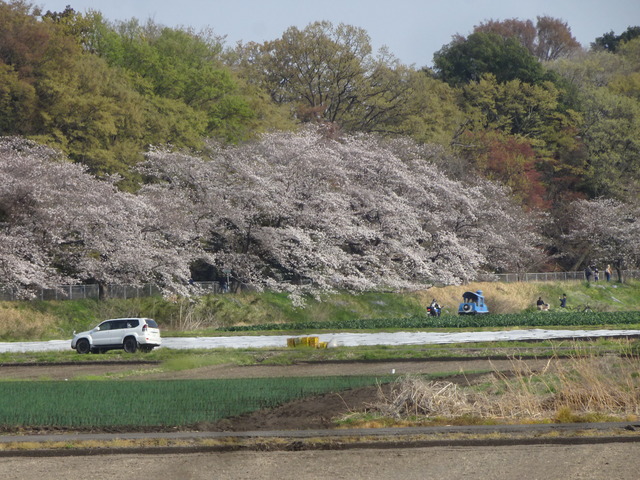 DSC00182