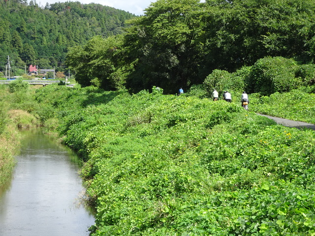 DSC08193