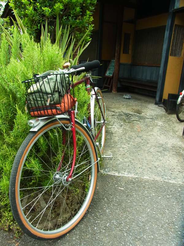 RIMG0530