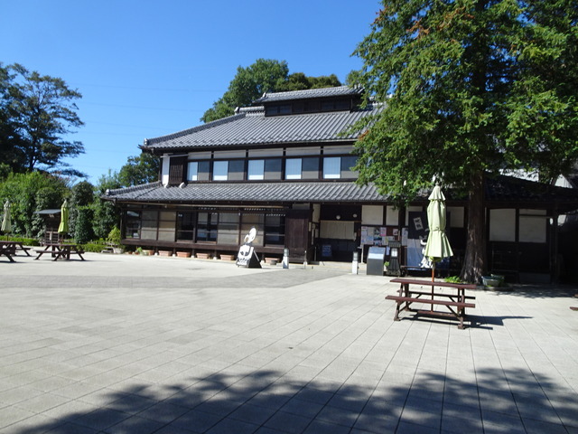 DSC09095