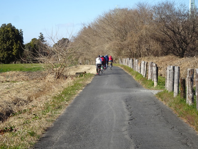 DSC05081