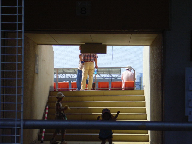 8950b76d.jpg
