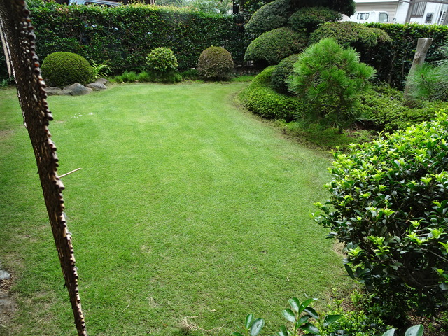 DSC00666