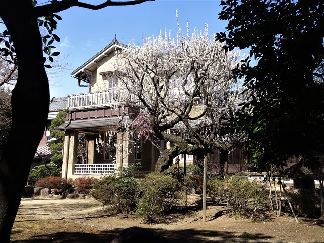 DSC07135